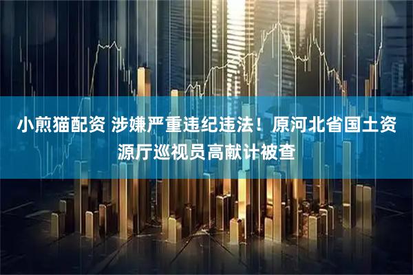 小煎猫配资 涉嫌严重违纪违法！原河北省国土资源厅巡视员高献计被查