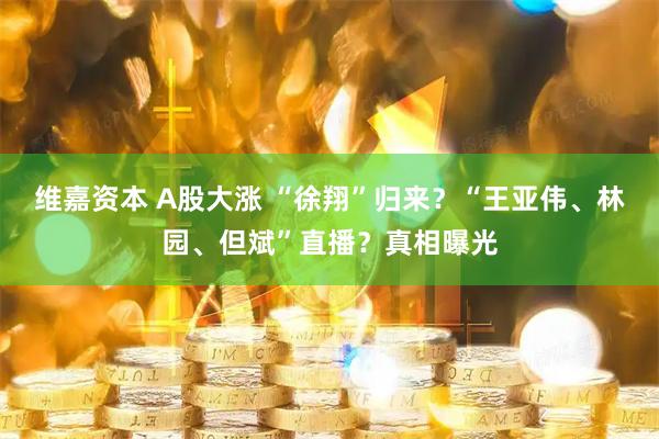 维嘉资本 A股大涨 “徐翔”归来？“王亚伟、林园、但斌”直播？真相曝光